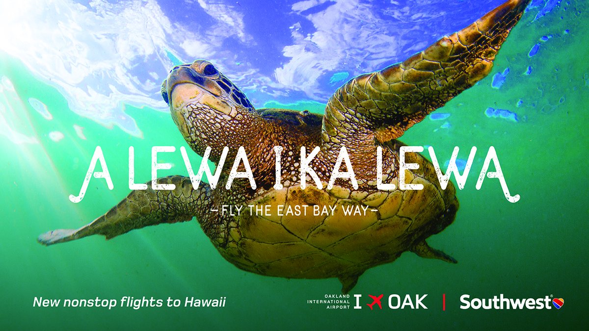 Campaign ad: A Lewa i ka Lewa, Fly the East Bay Way, over a sea turtle